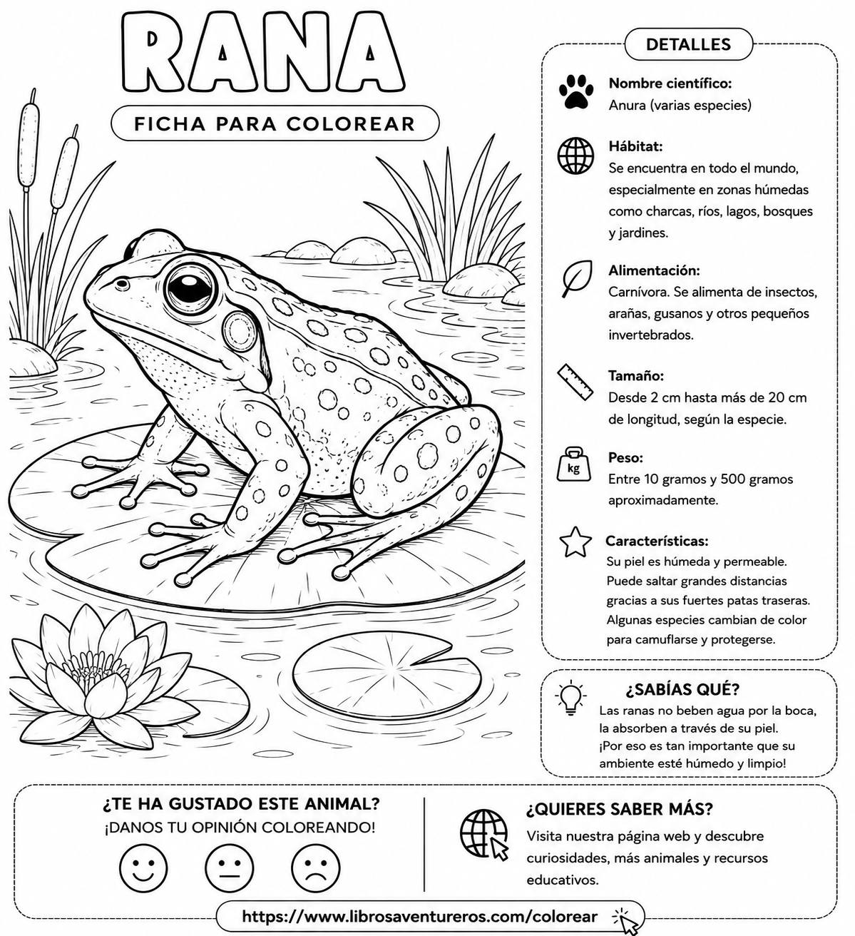 Rana