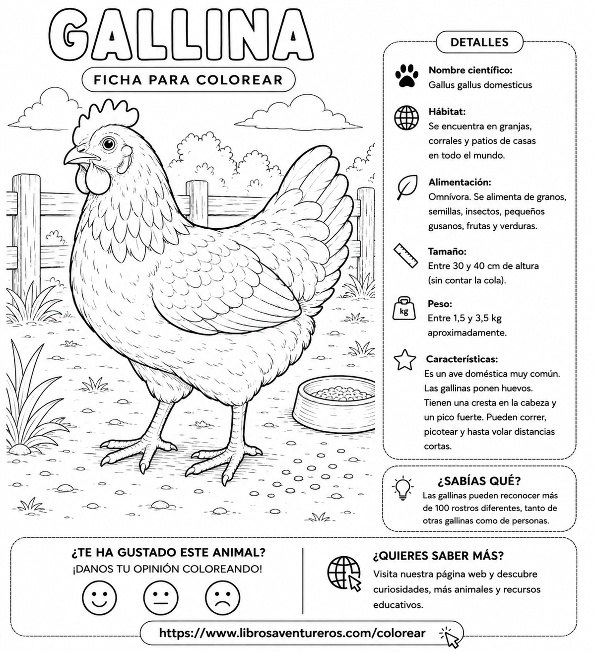 Gallina