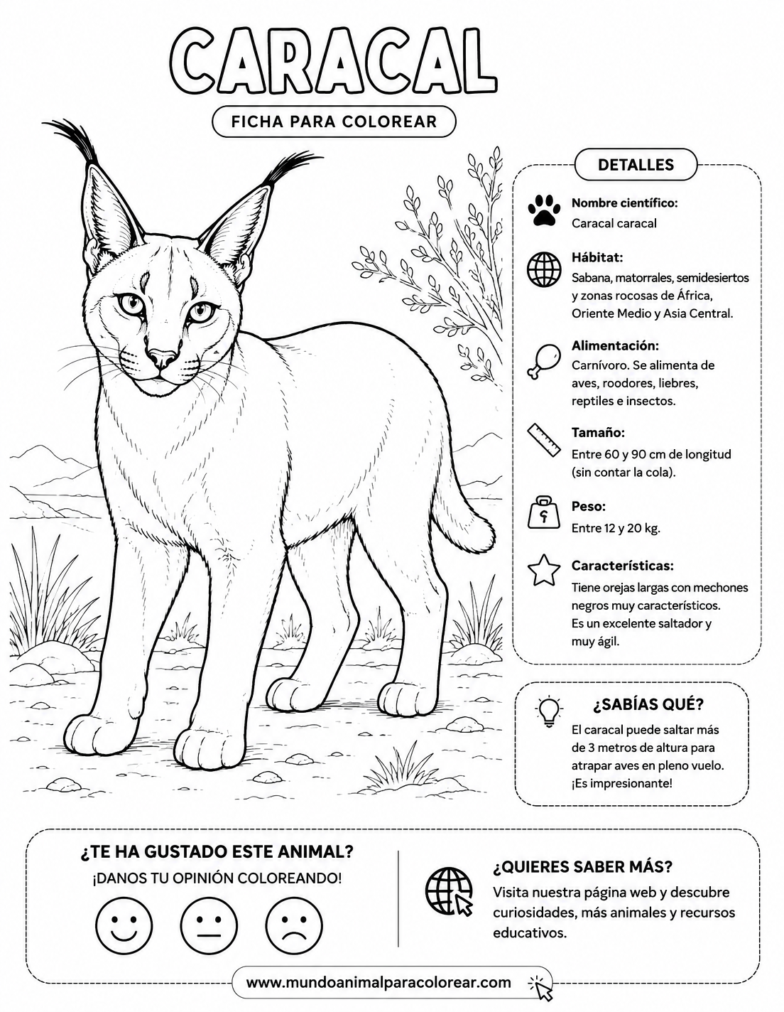 Caracal