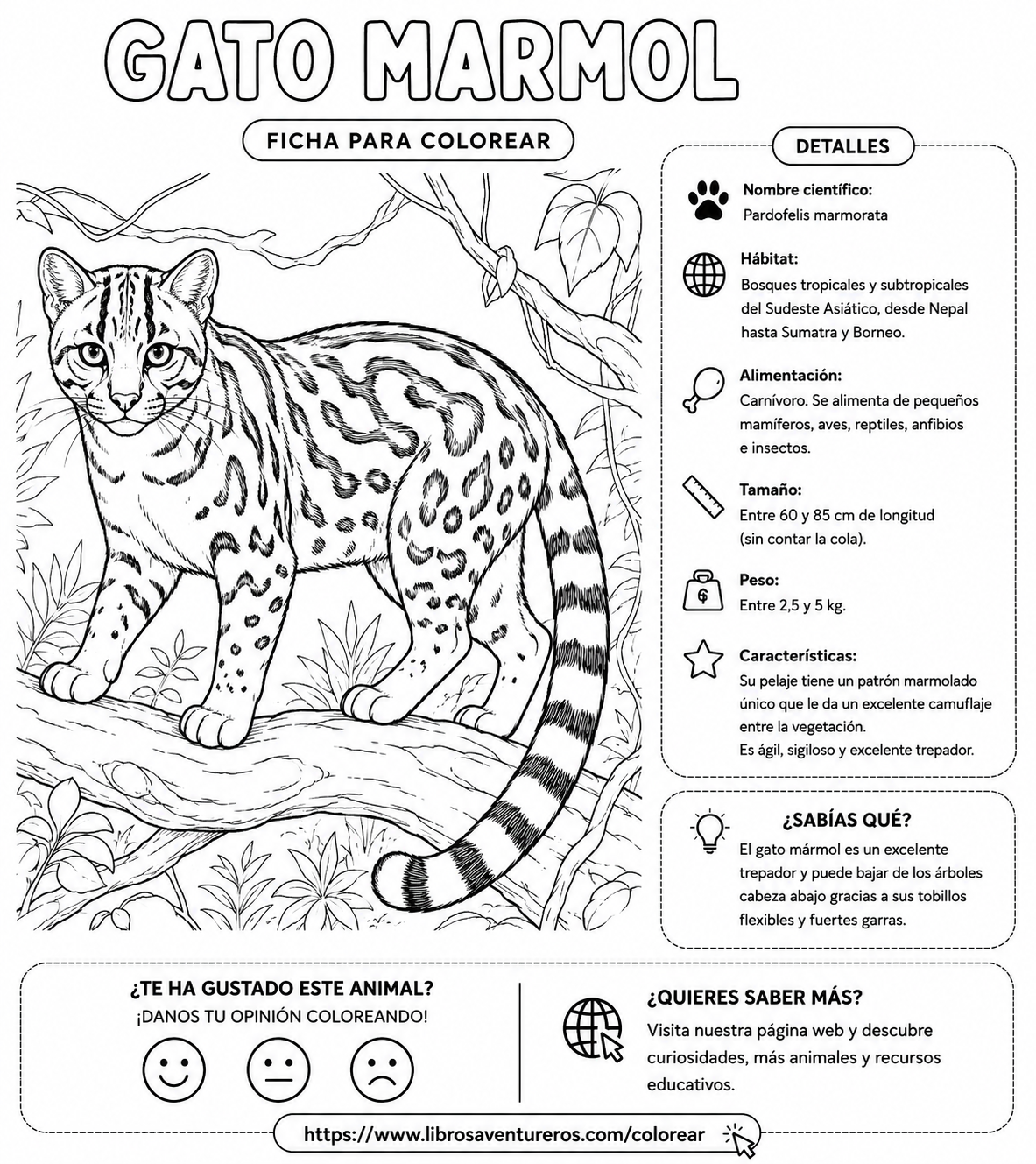 Gato de Mármol