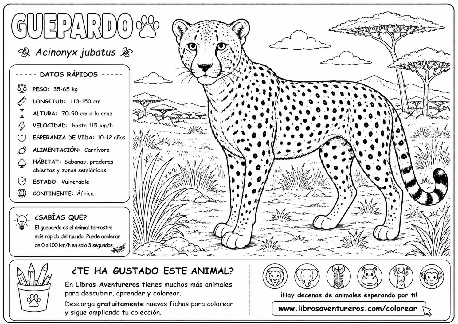 Guepardo