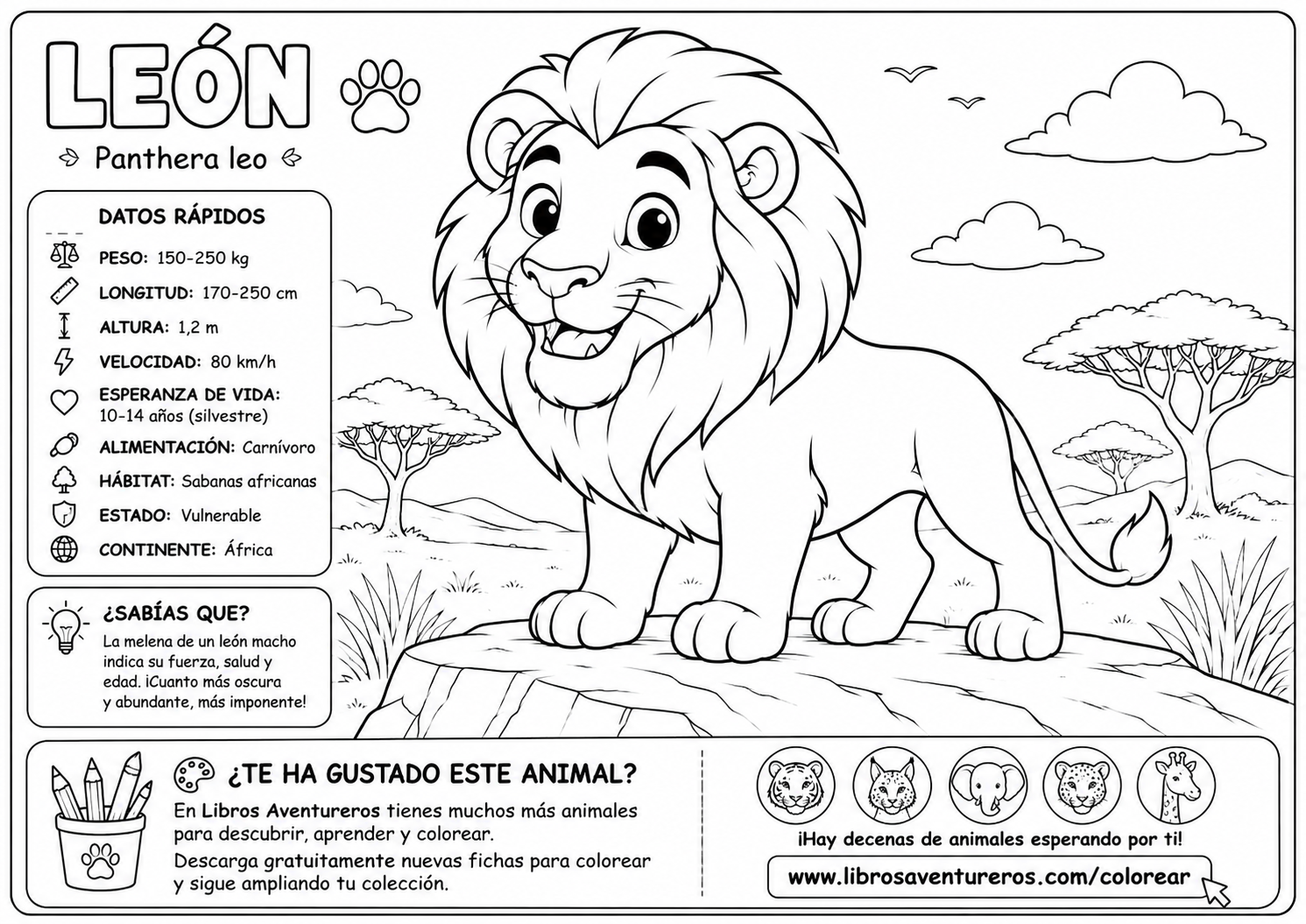 León