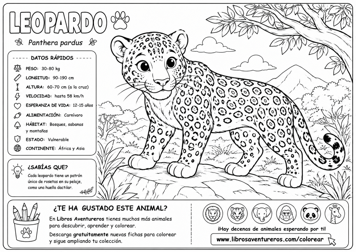 Leopardo