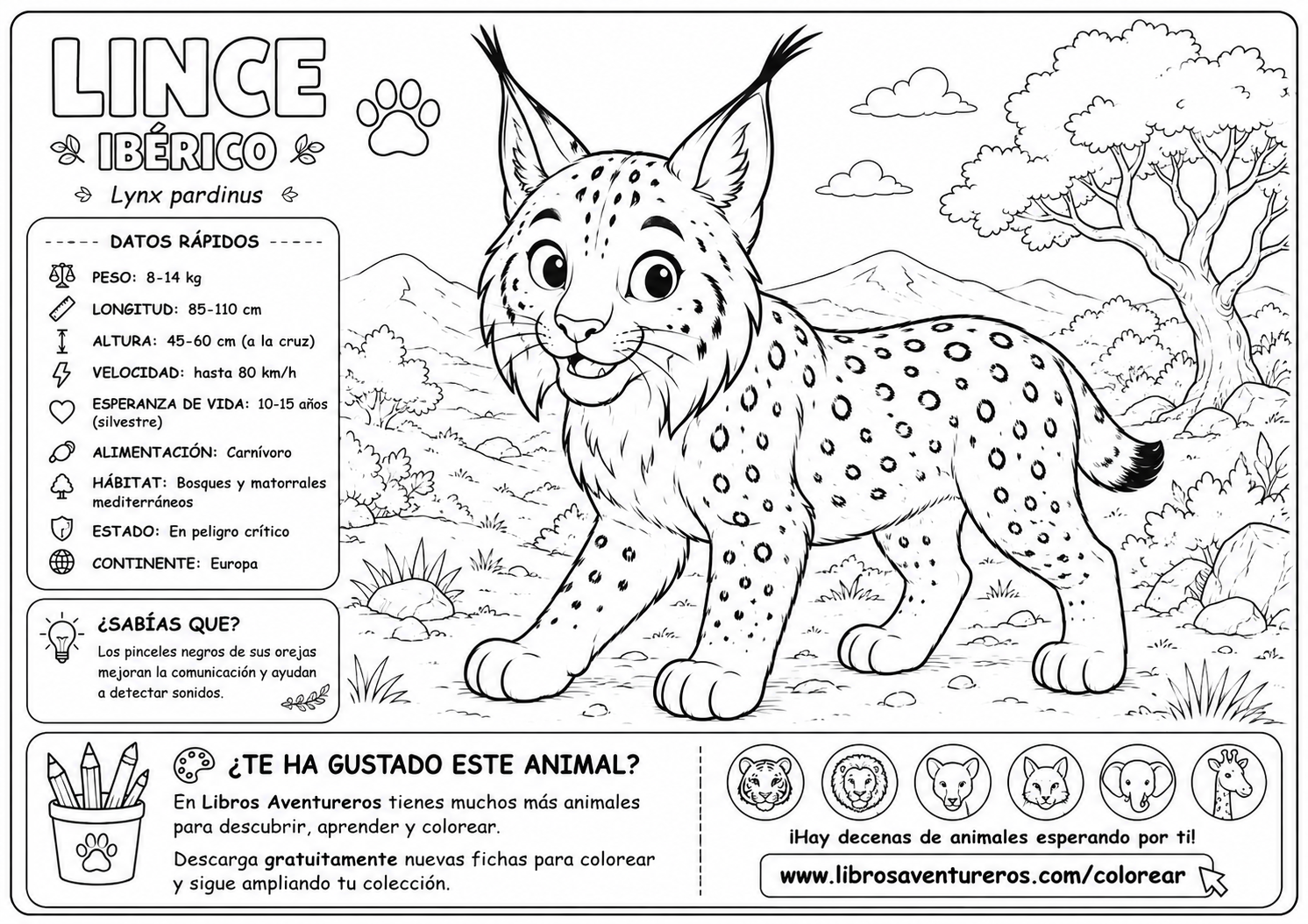 Lince Ibérico