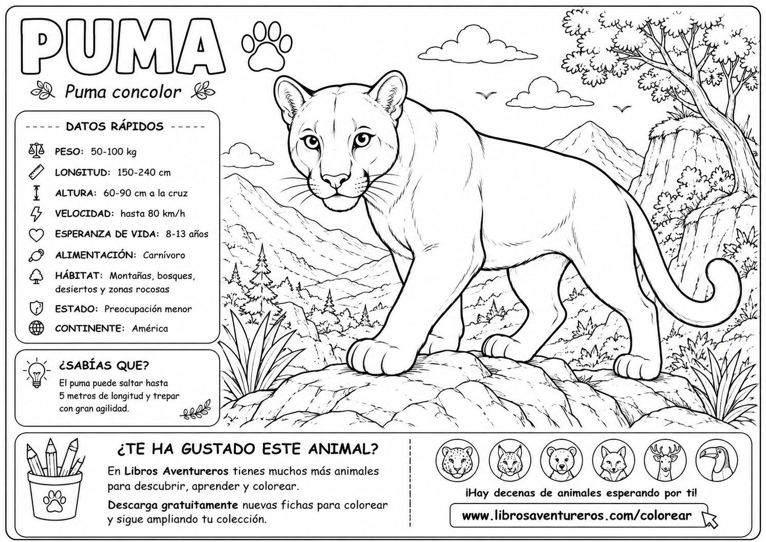 Puma