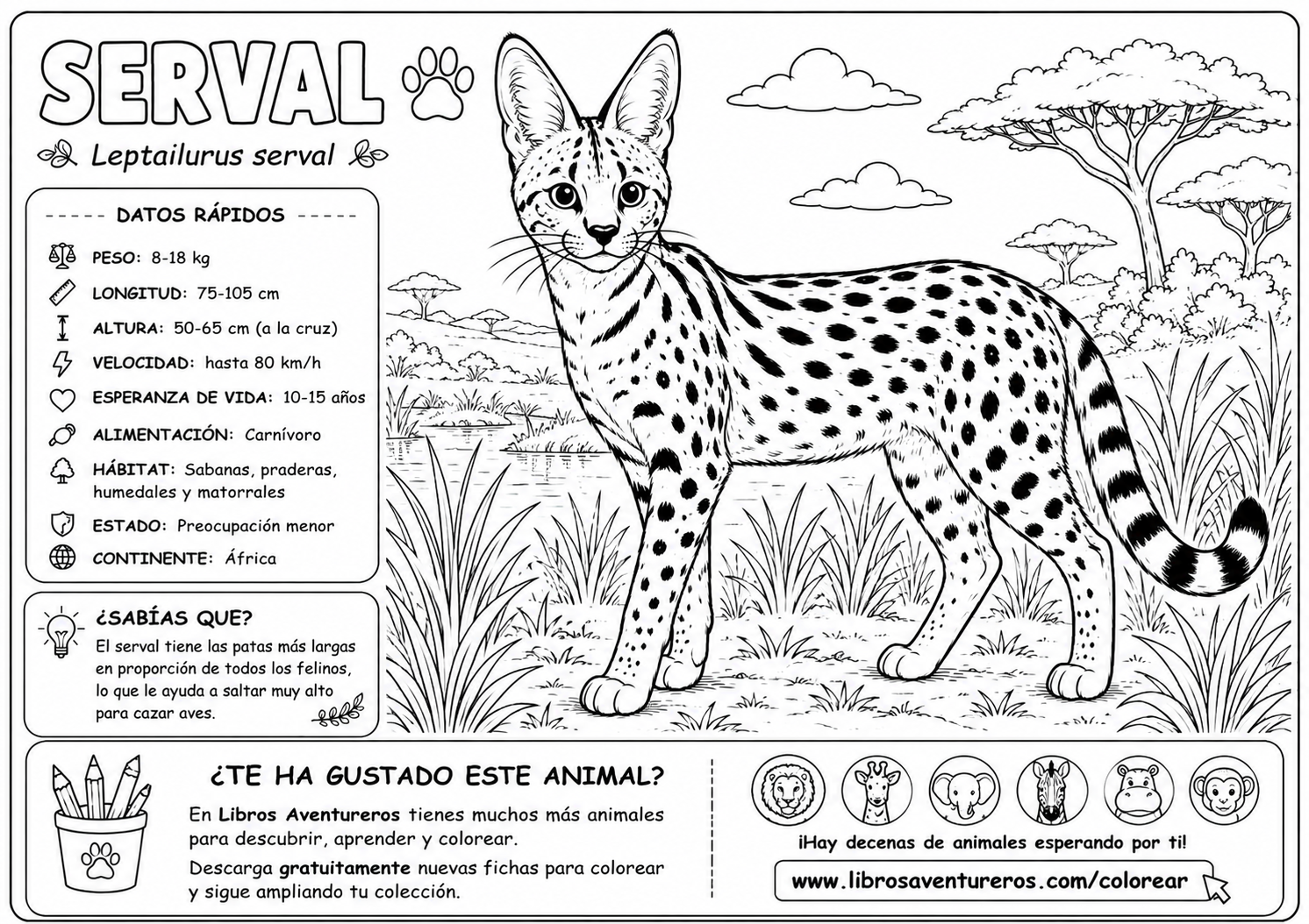 Serval