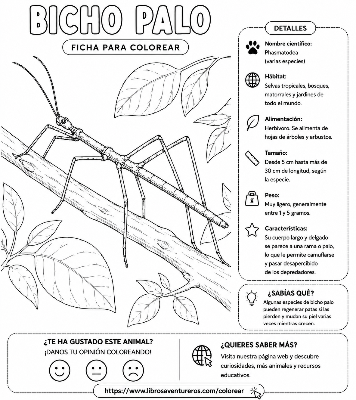 Bicho Palo