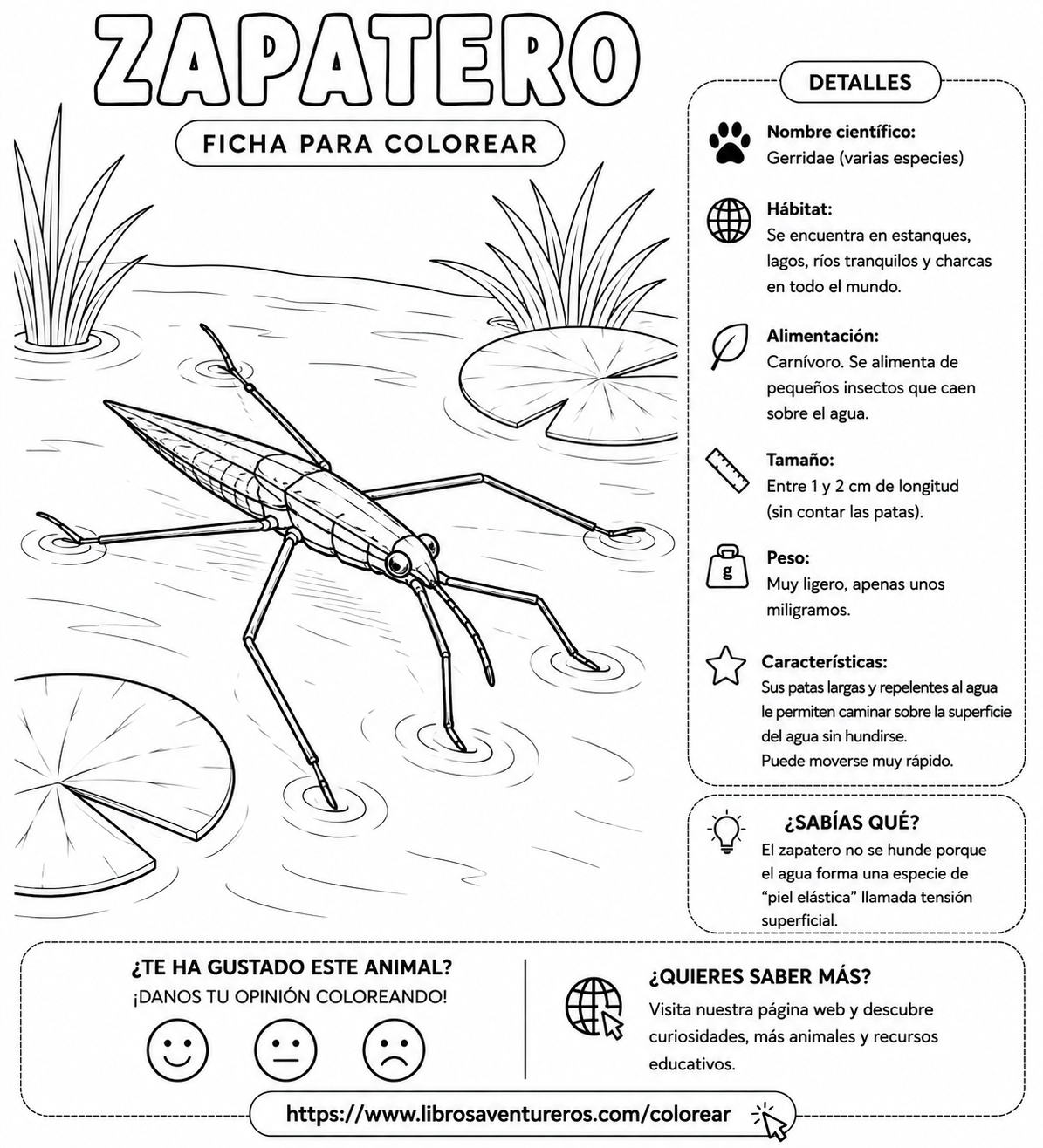 Zapatero
