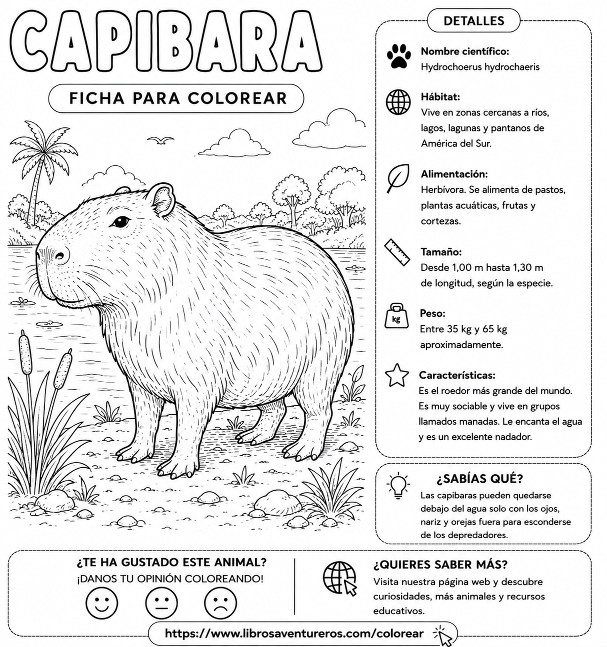 Capibara