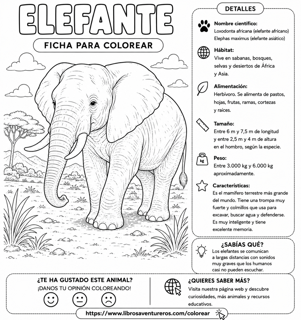 Elefante Africano