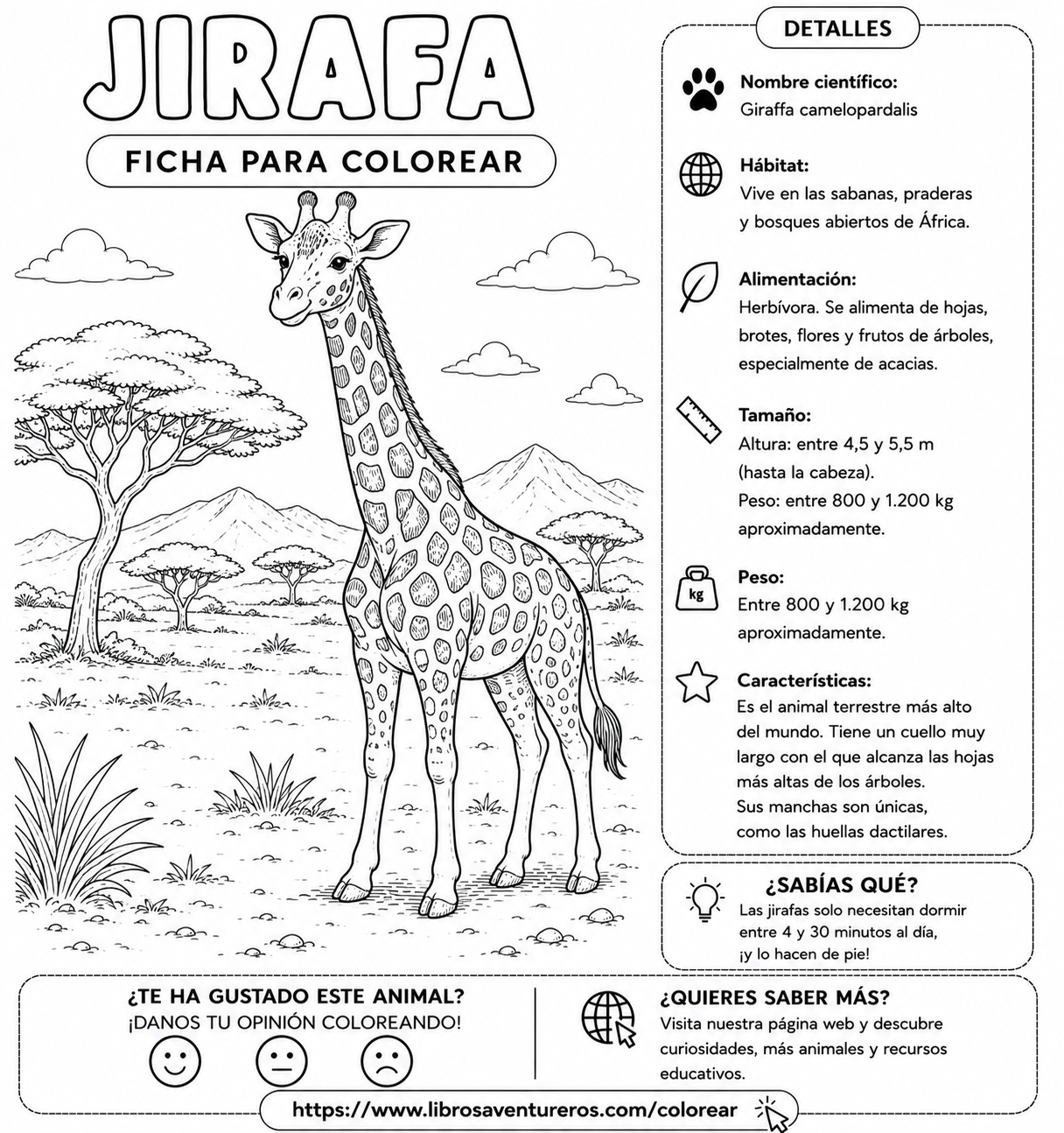 Jirafa