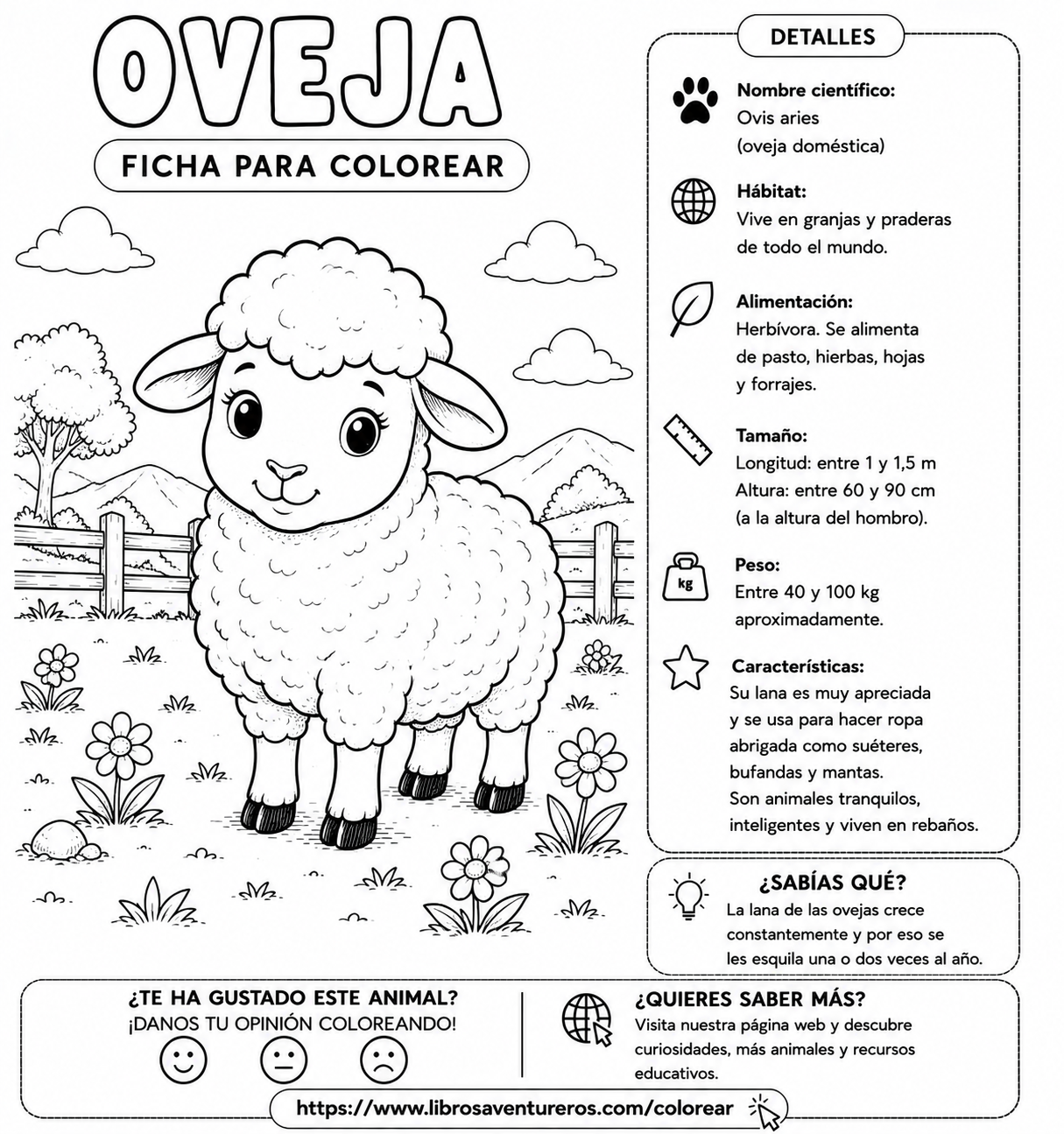 Oveja