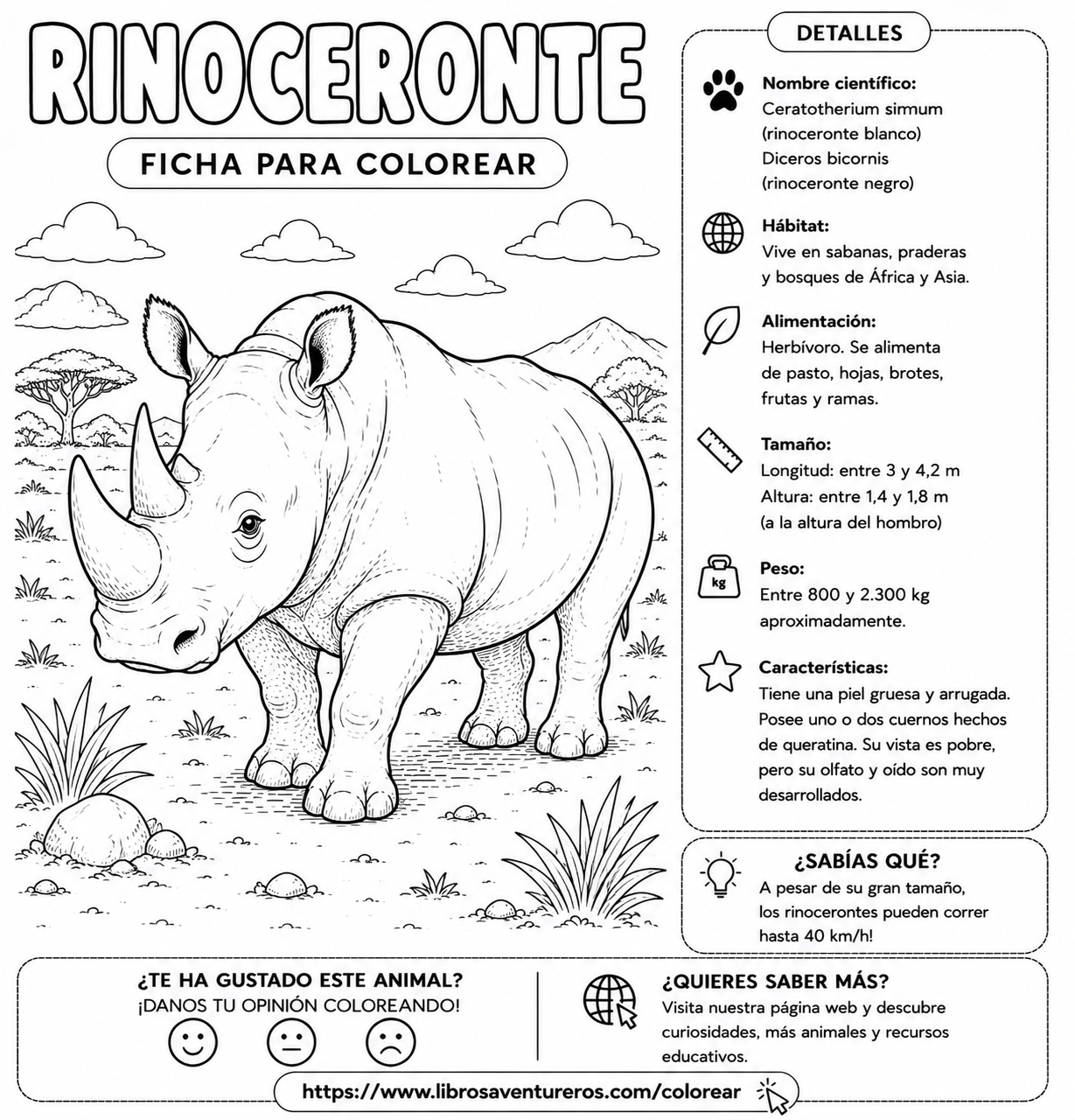 Rinoceronte