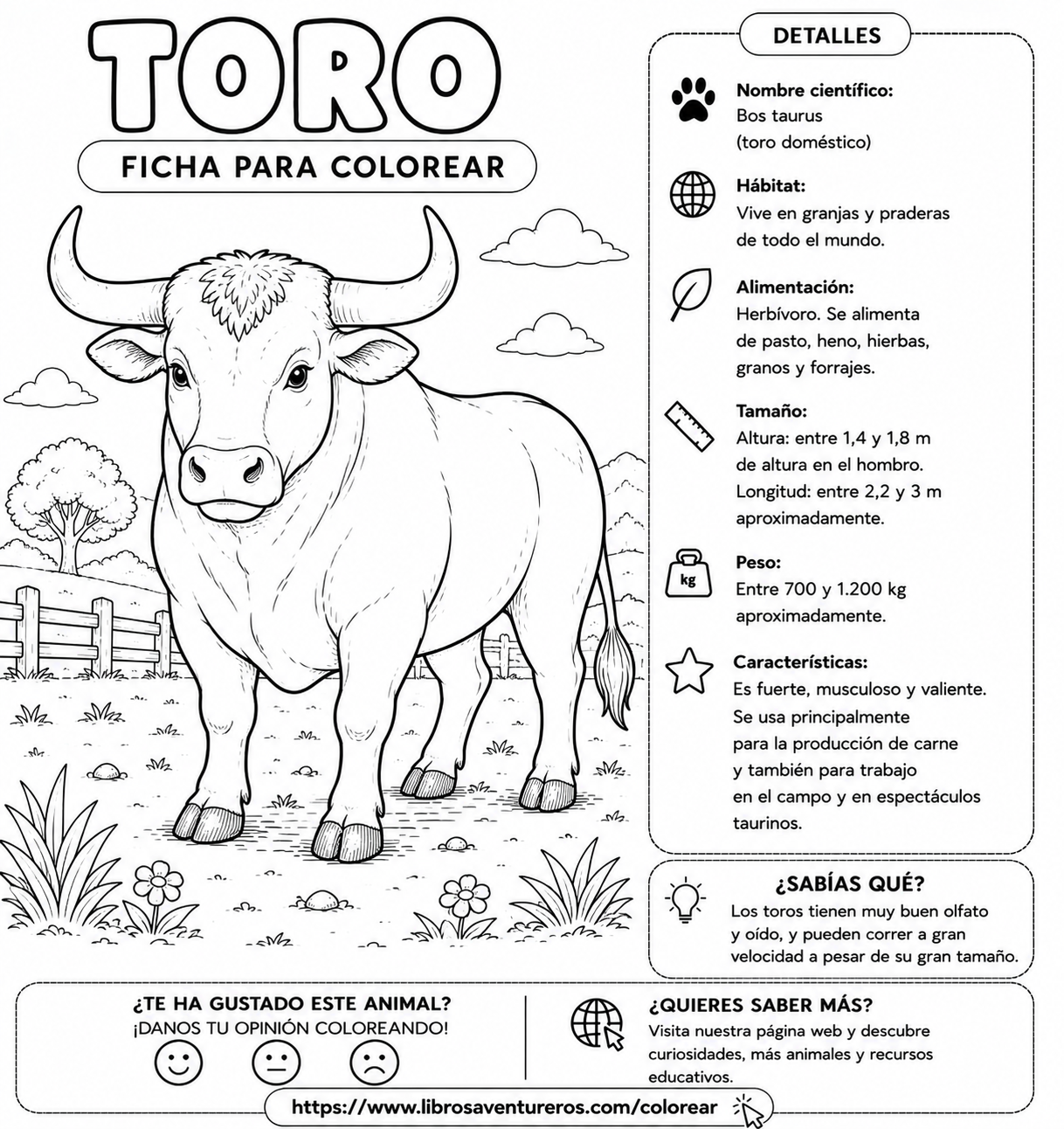 Toro