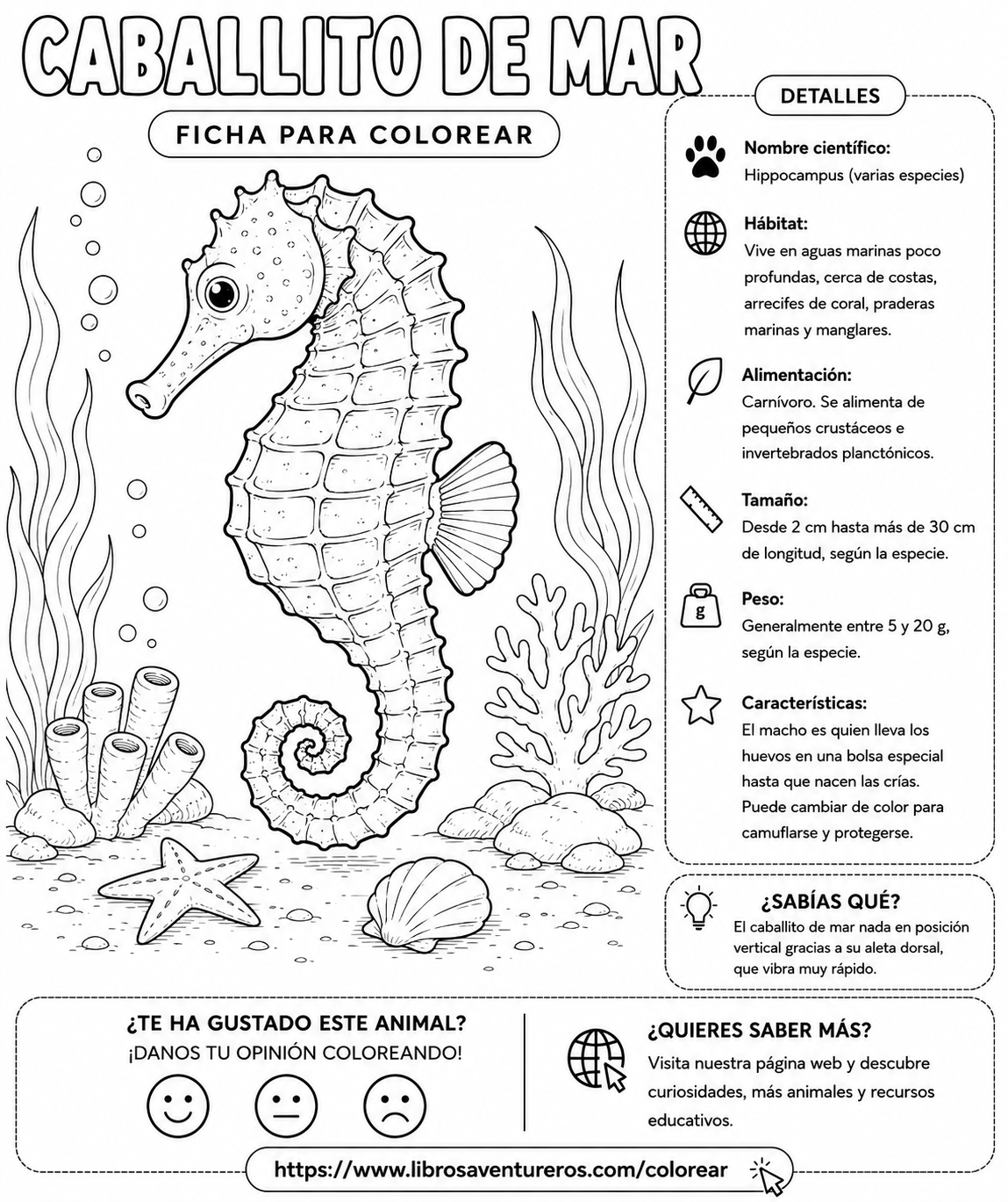 Caballito de Mar
