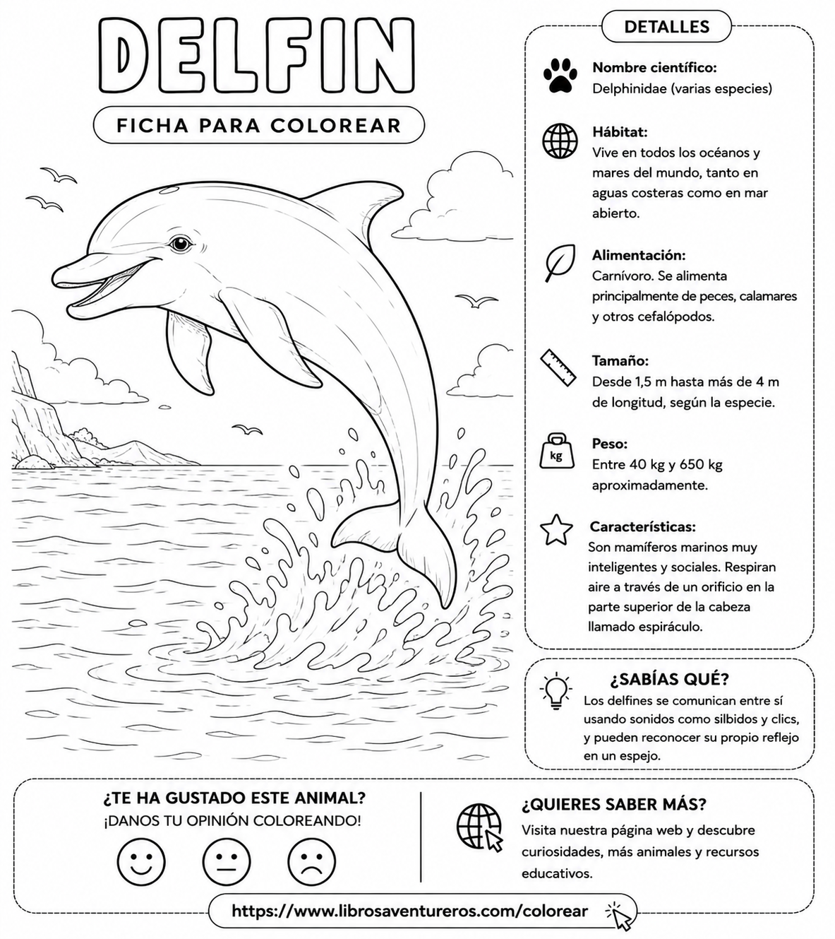 Delfín