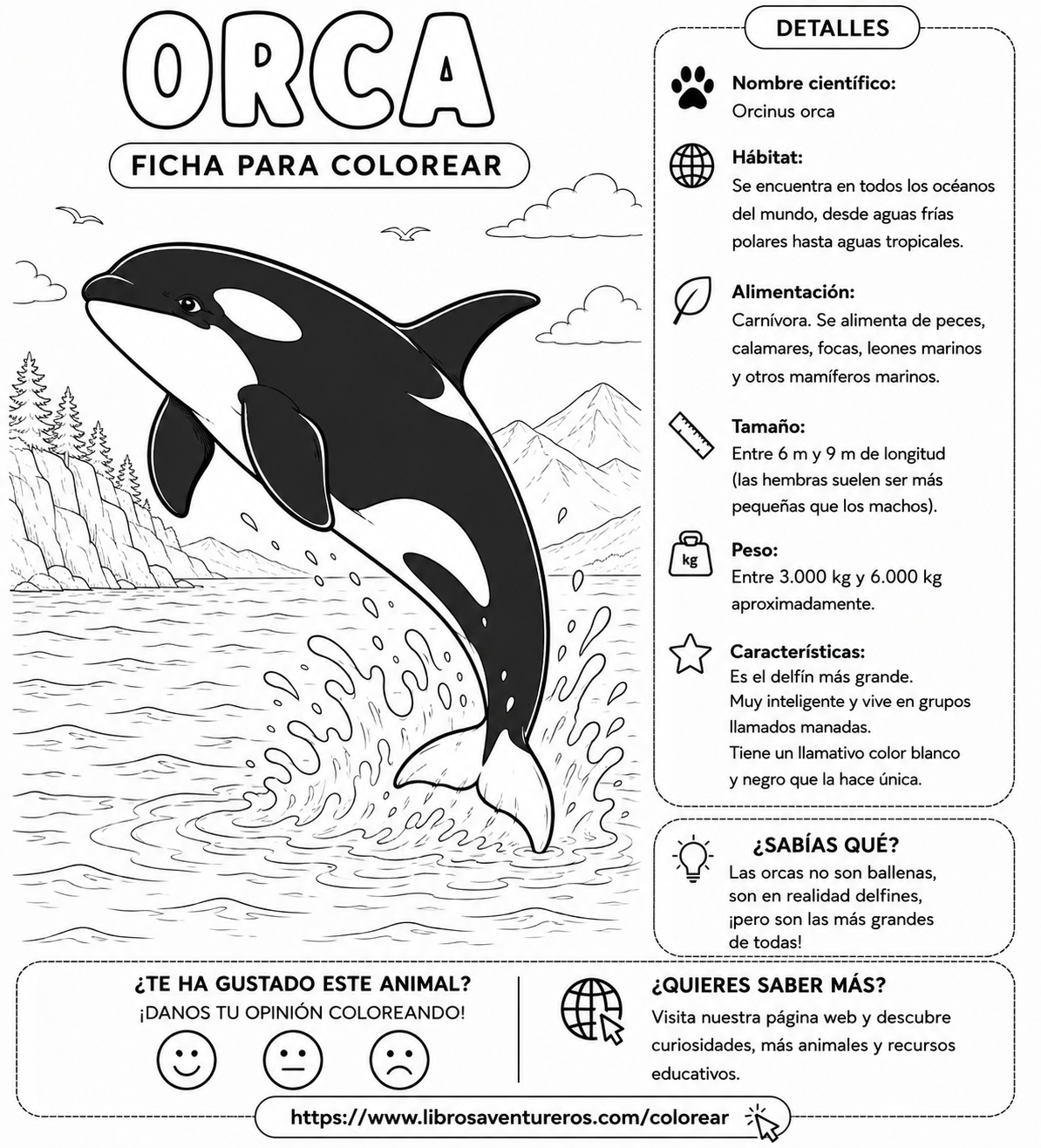 Orca