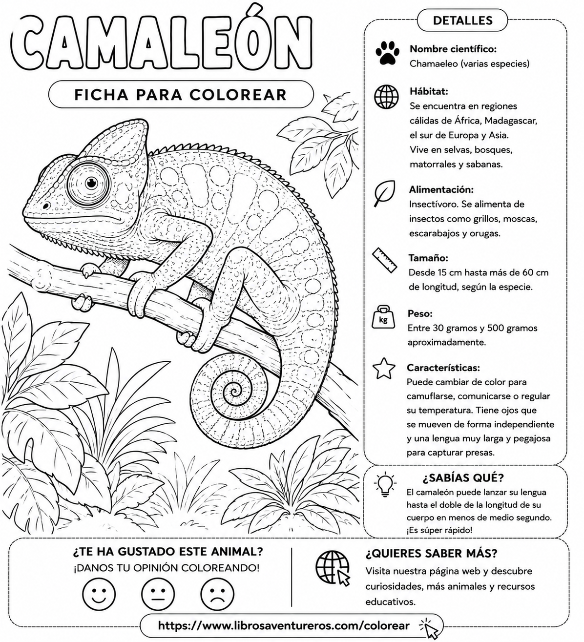 Camaleón