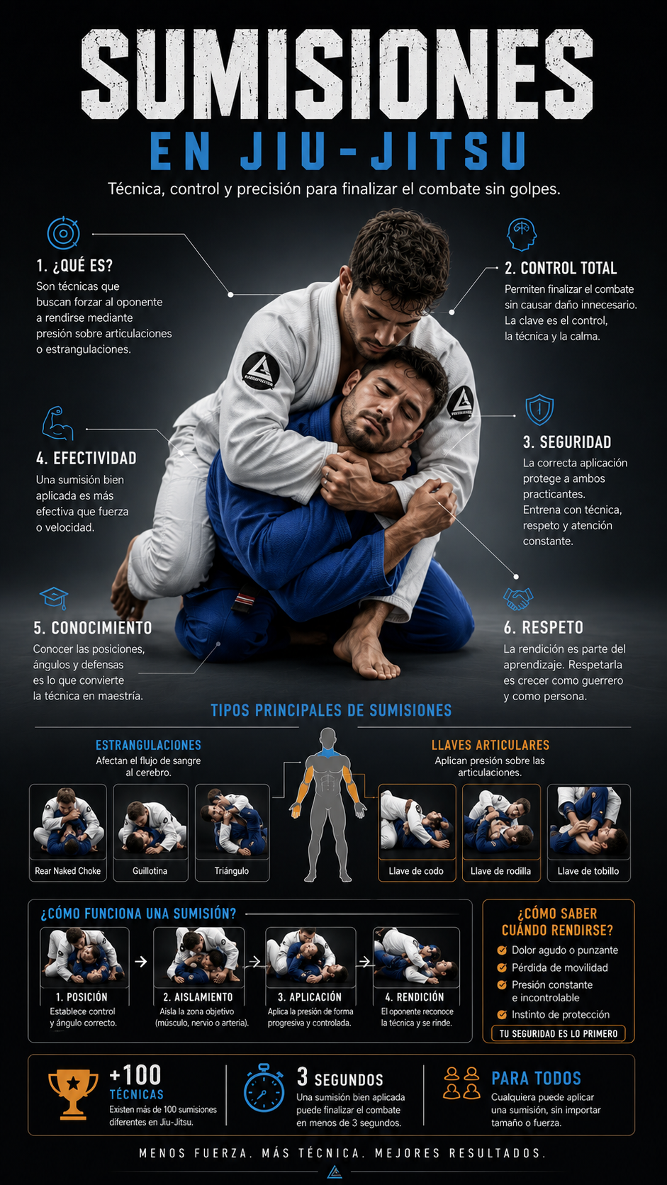 Convierte cualquier tema en una infografía espectacular - ejemplo 2